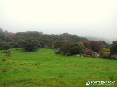 Senda Viriato; Sierra San Vicente; monasterio de paular bosques magicos fotos cascadas